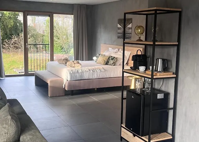 Hotel La Merveilleuse By Infiniti Dinant